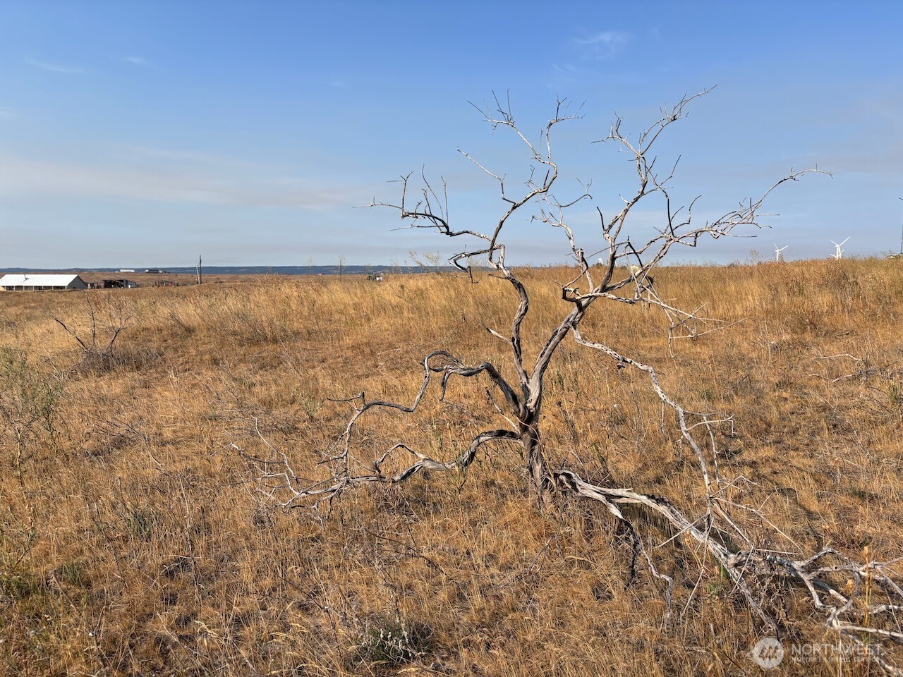 6440 Ellensburg Ranches Road , Ellensburg, WA 98926