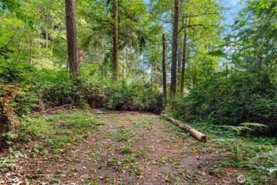 6018 53rd Street NW, Gig Harbor, WA 98335 - Photo 38