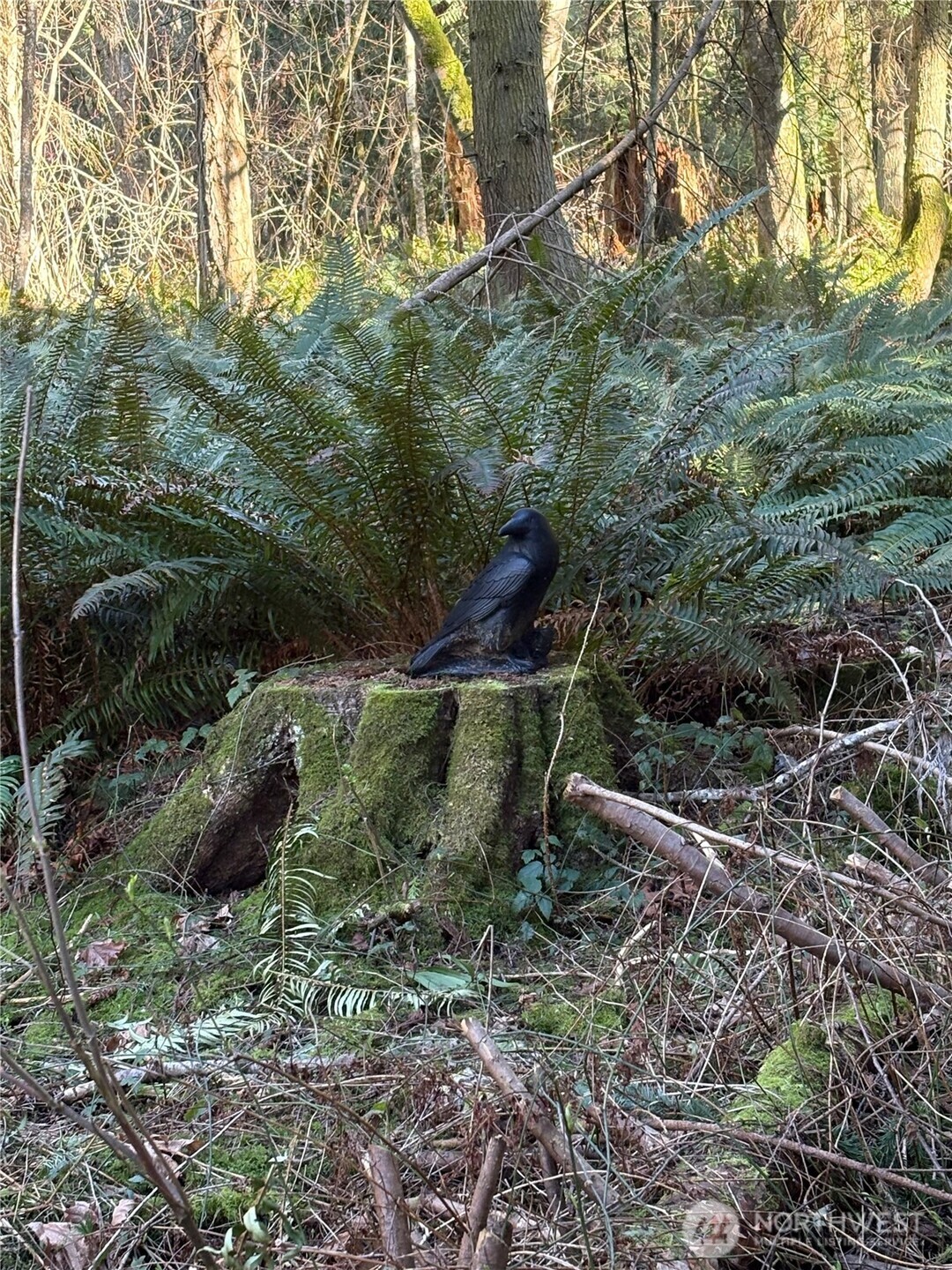 5455 No Name Road , Anacortes, WA 98221