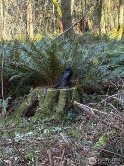 5455 No Name Road , Anacortes, WA 98221 - Photo 40