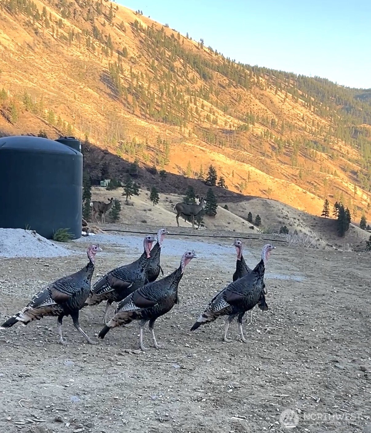 9660 Nahahum Canyon Road , Cashmere, WA 98815