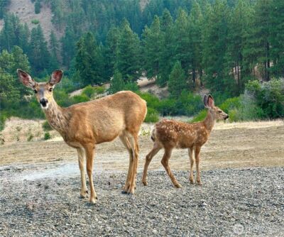 9660 Nahahum Canyon Road , Cashmere, WA 98815 - Photo 9