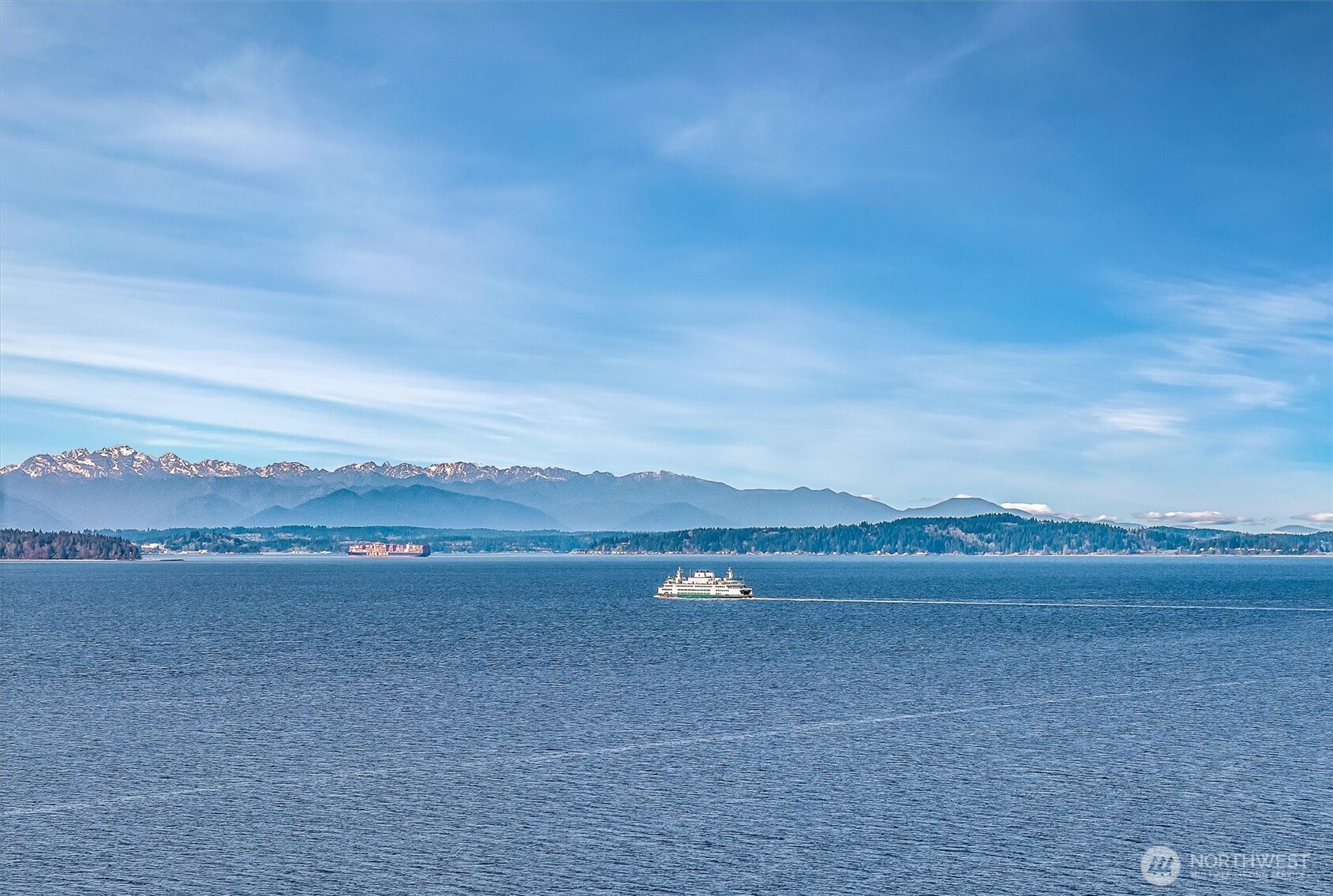 10203 47th Avenue SW #D2, Seattle, WA 98146