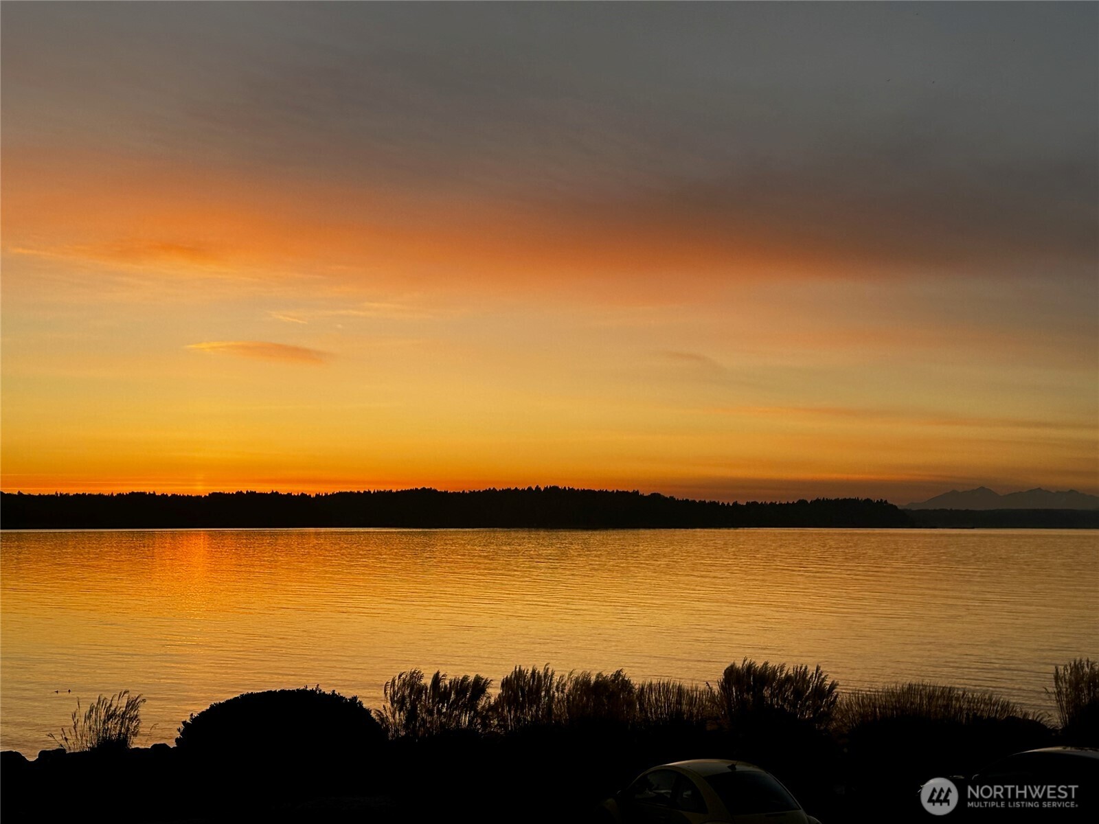 10203 47th Avenue SW #D2, Seattle, WA 98146