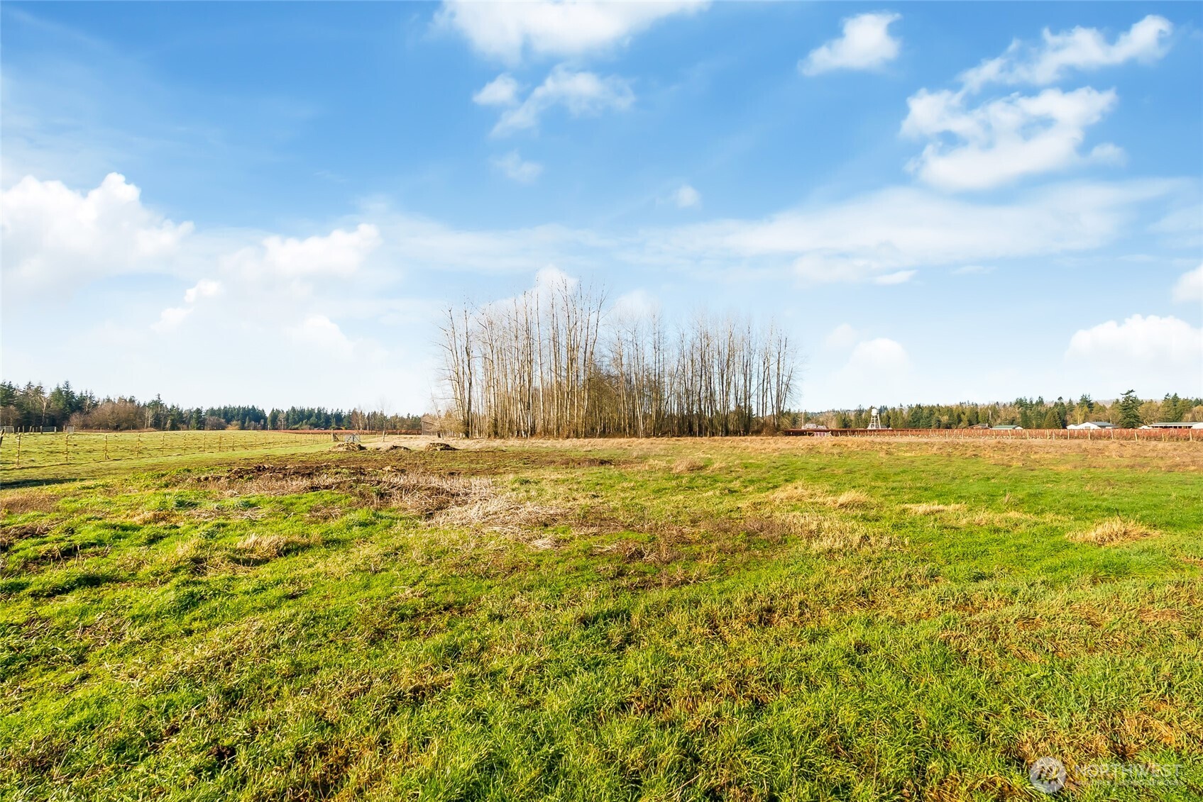 8741 Delta Line Road , Custer, WA 98240