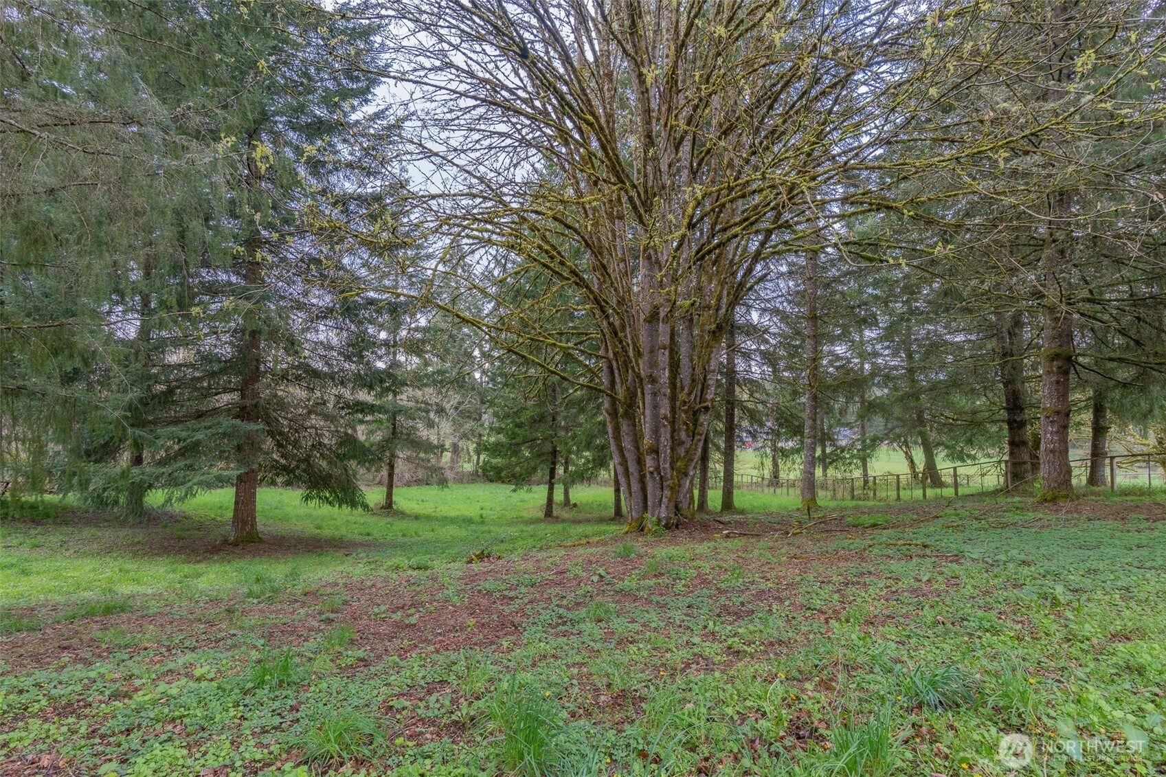 2024 Lorraine Drive SE, Olympia, WA 98501