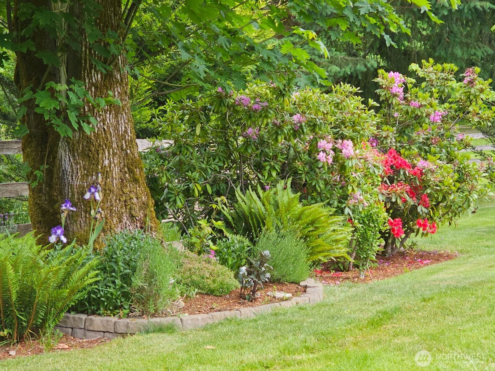 2024 Lorraine Drive SE, Olympia, WA 98501