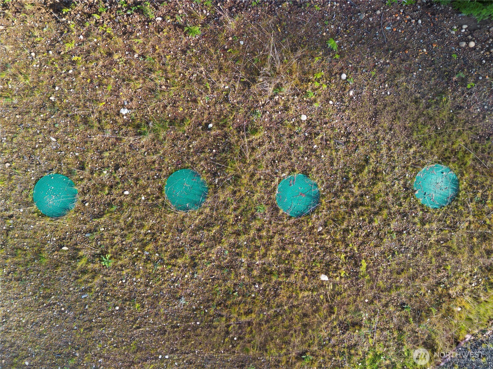 151 E Kingsley Place , Belfair, WA 98528