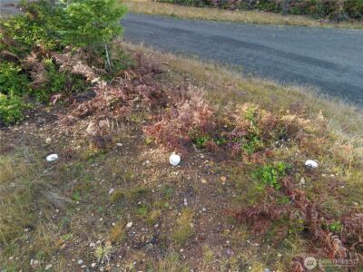 151 E Kingsley Place , Belfair, WA 98528 - Photo 14