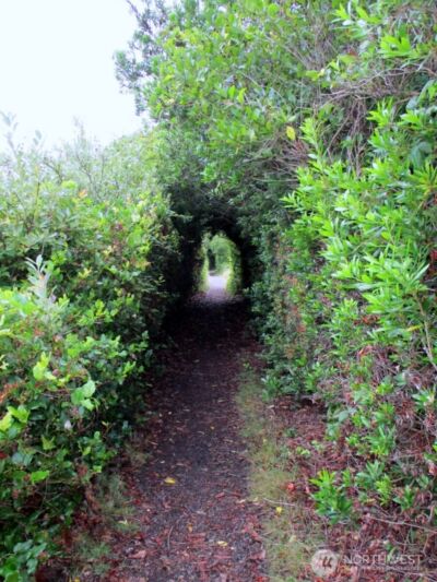 384 Marine View Drive SW, Ocean Shores, WA 98569 - Photo 6