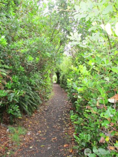 384 Marine View Drive SW, Ocean Shores, WA 98569 - Photo 7