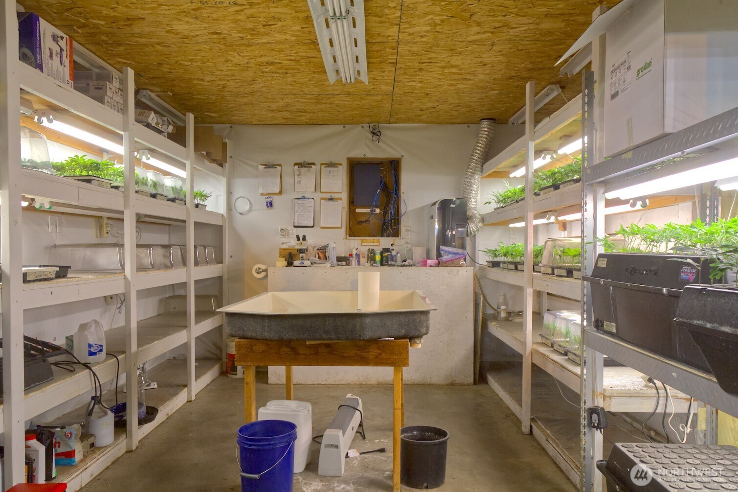 21525 CI Undisclosed , Quilcene, WA 98376