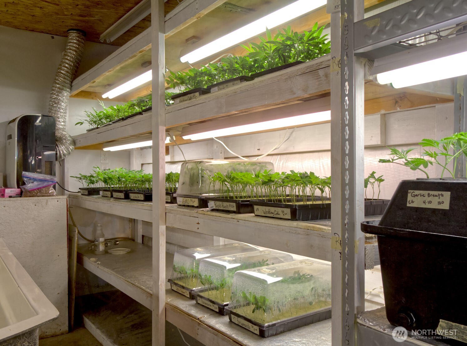 21525 CI Undisclosed , Quilcene, WA 98376