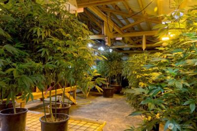 21525 CI Undisclosed , Quilcene, WA 98376 - Photo 13