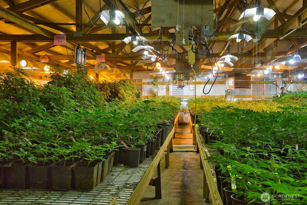 21525 CI Undisclosed , Quilcene, WA 98376