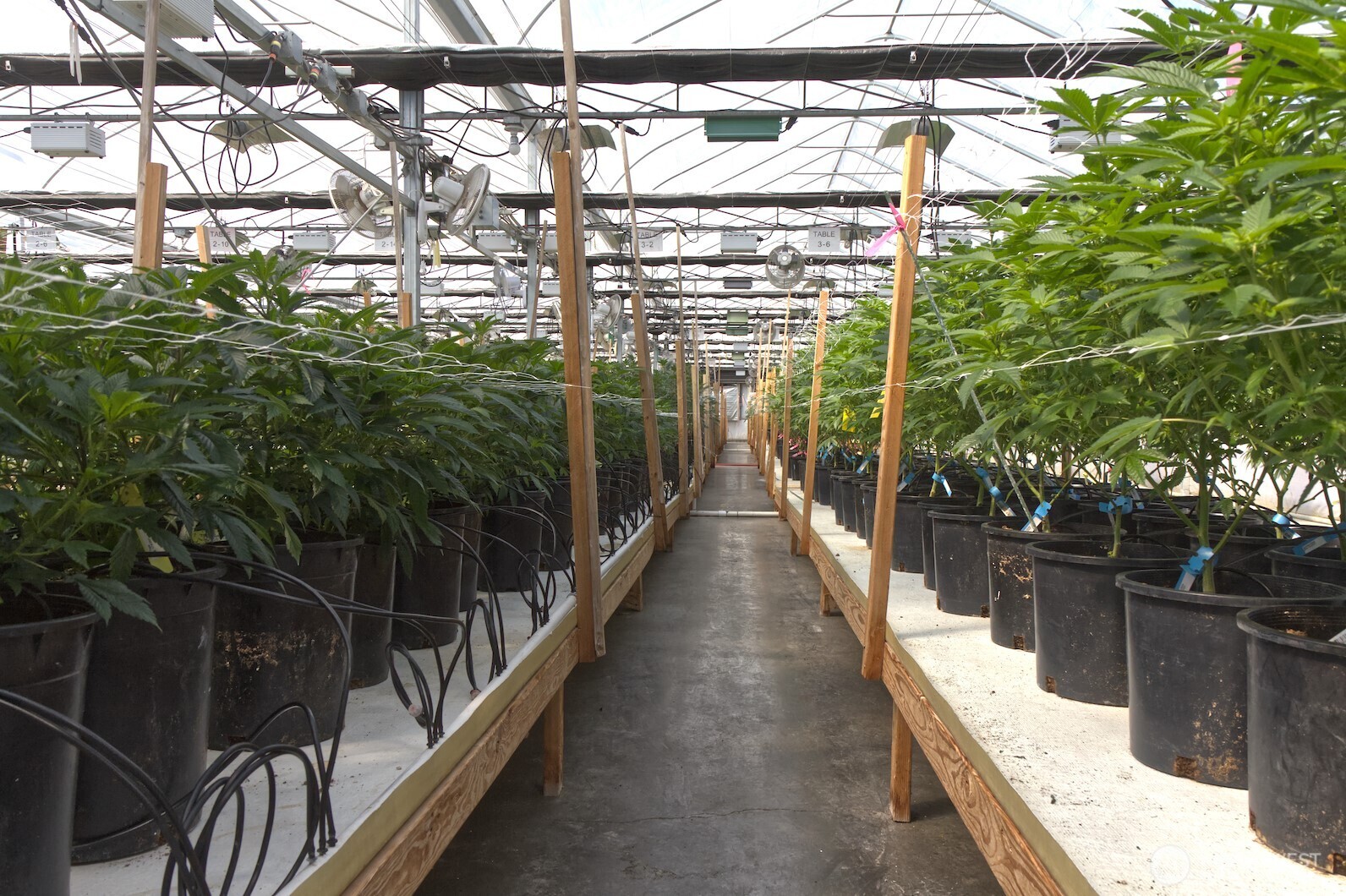 21525 CI Undisclosed , Quilcene, WA 98376