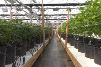 21525 CI Undisclosed , Quilcene, WA 98376 - Photo 15