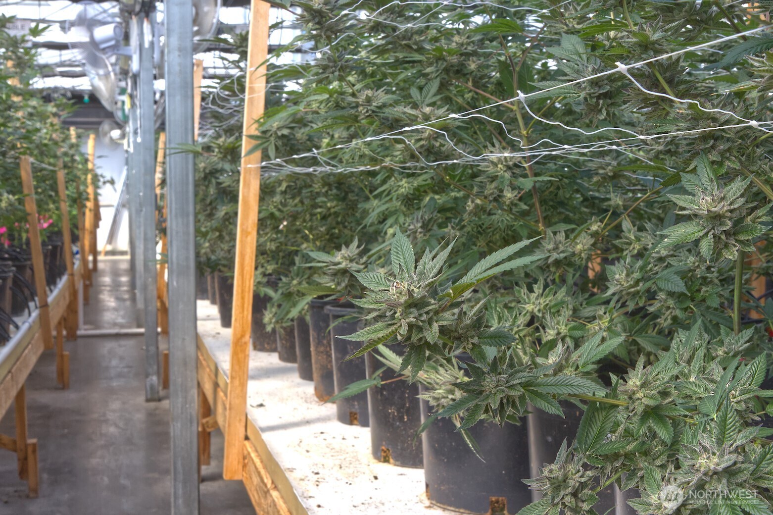 21525 CI Undisclosed , Quilcene, WA 98376