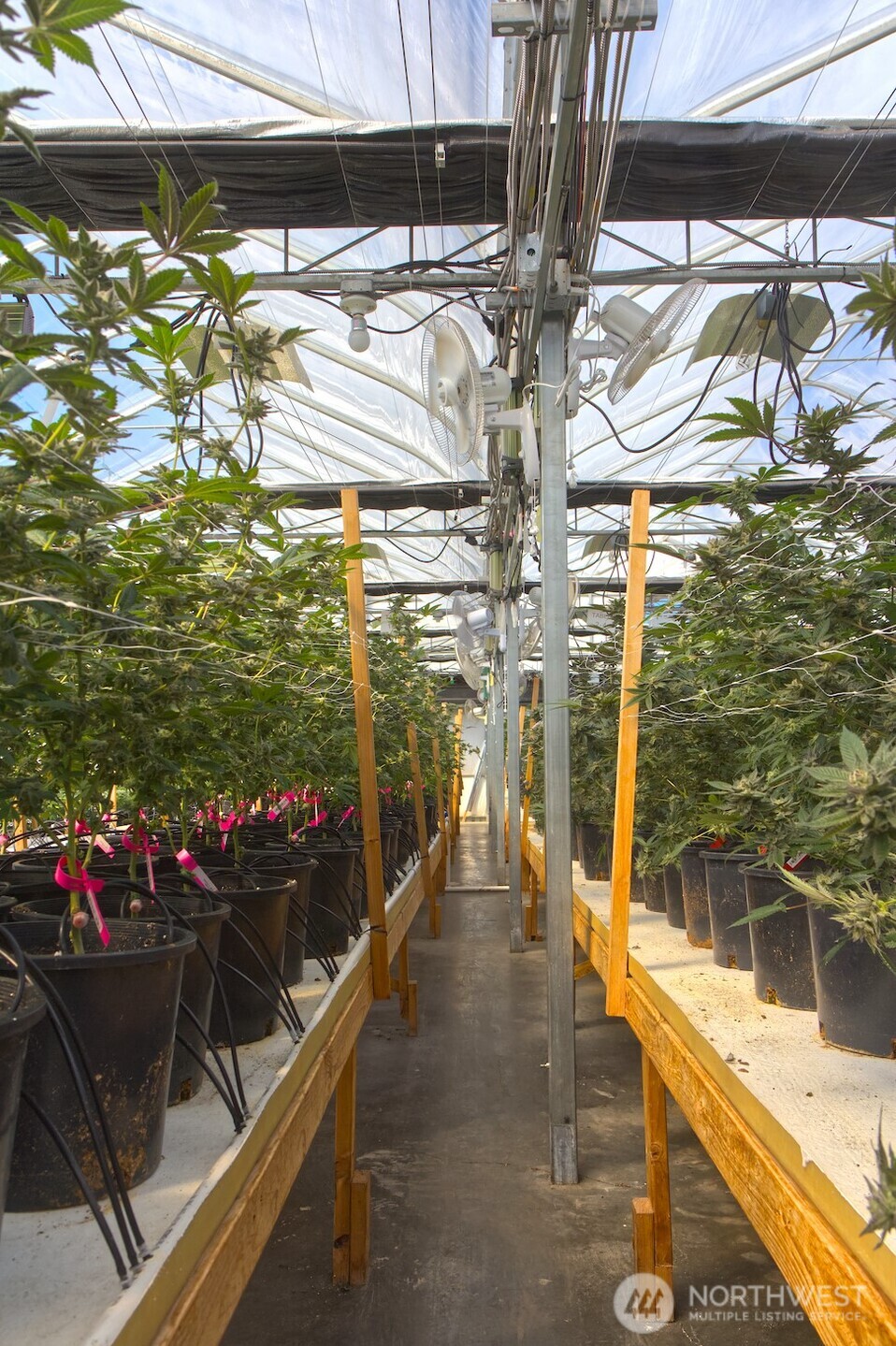 21525 CI Undisclosed , Quilcene, WA 98376