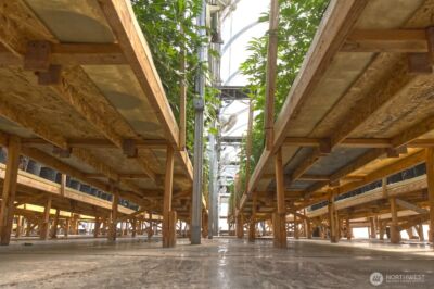 21525 CI Undisclosed , Quilcene, WA 98376 - Photo 18