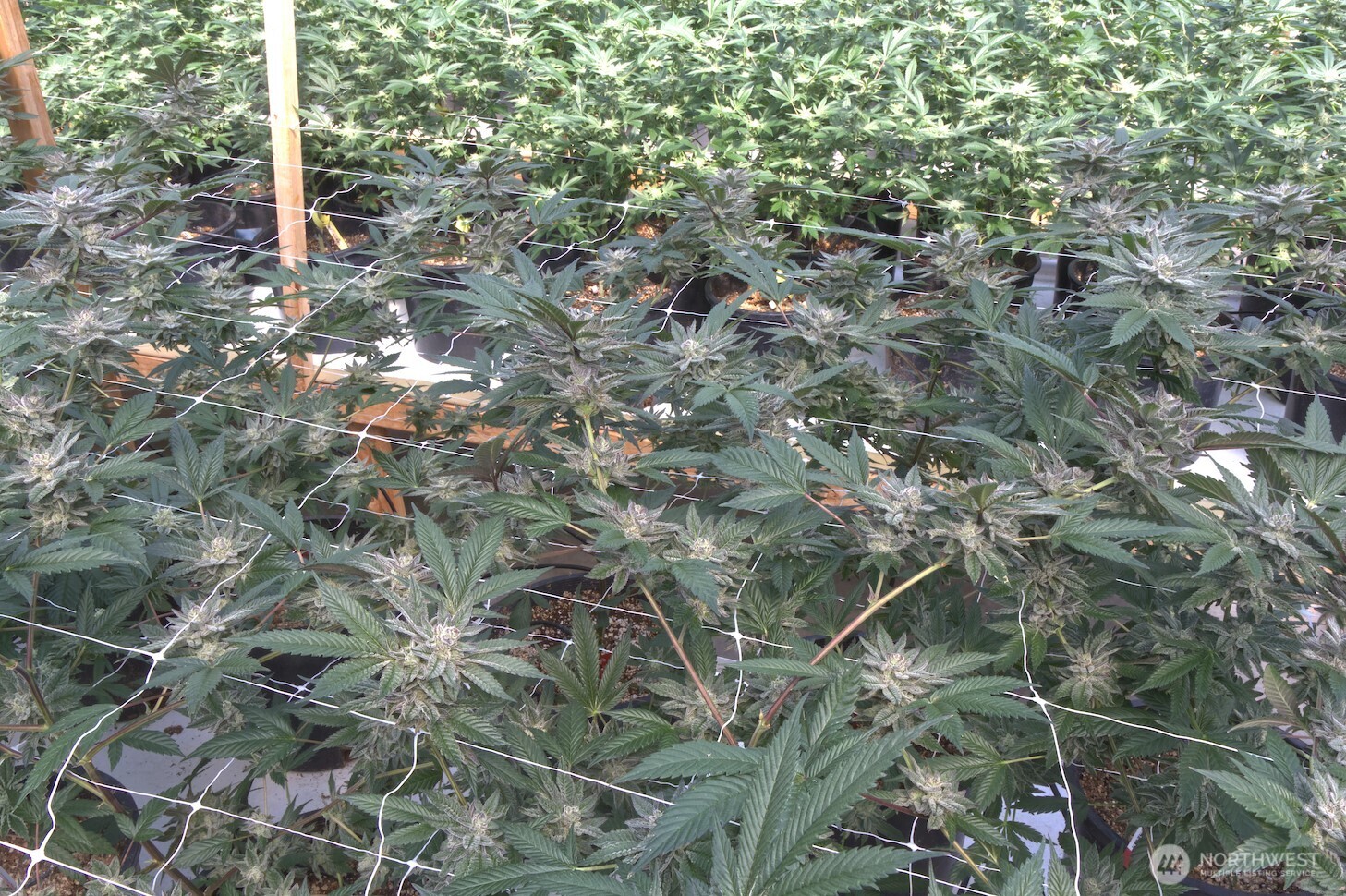 21525 CI Undisclosed , Quilcene, WA 98376