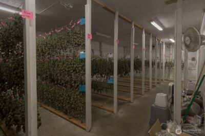 21525 CI Undisclosed , Quilcene, WA 98376 - Photo 23