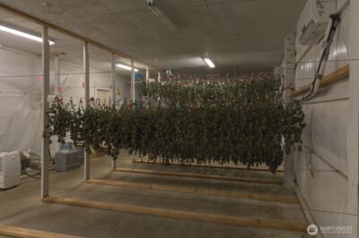 21525 CI Undisclosed , Quilcene, WA 98376 - Photo 24