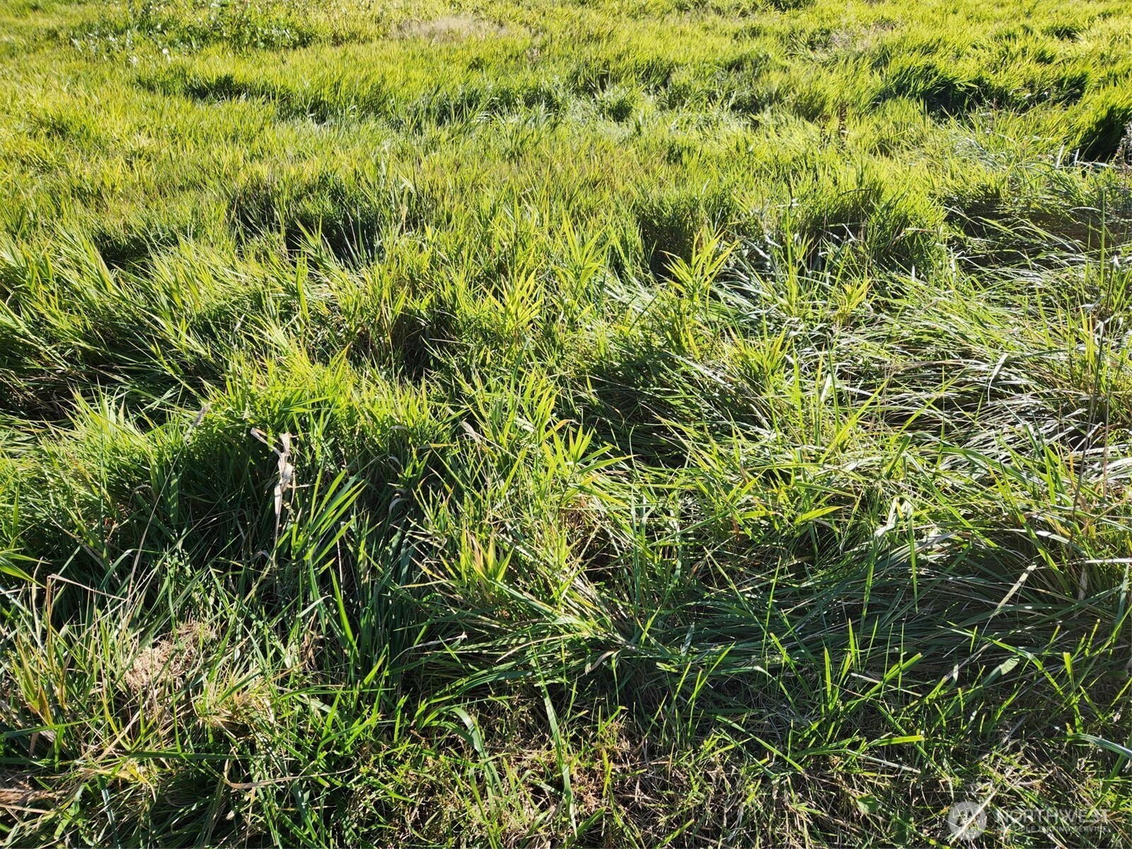 300 W Front , Aberdeen, WA 98520