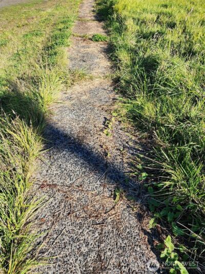 300 W Front , Aberdeen, WA 98520 - Photo 6