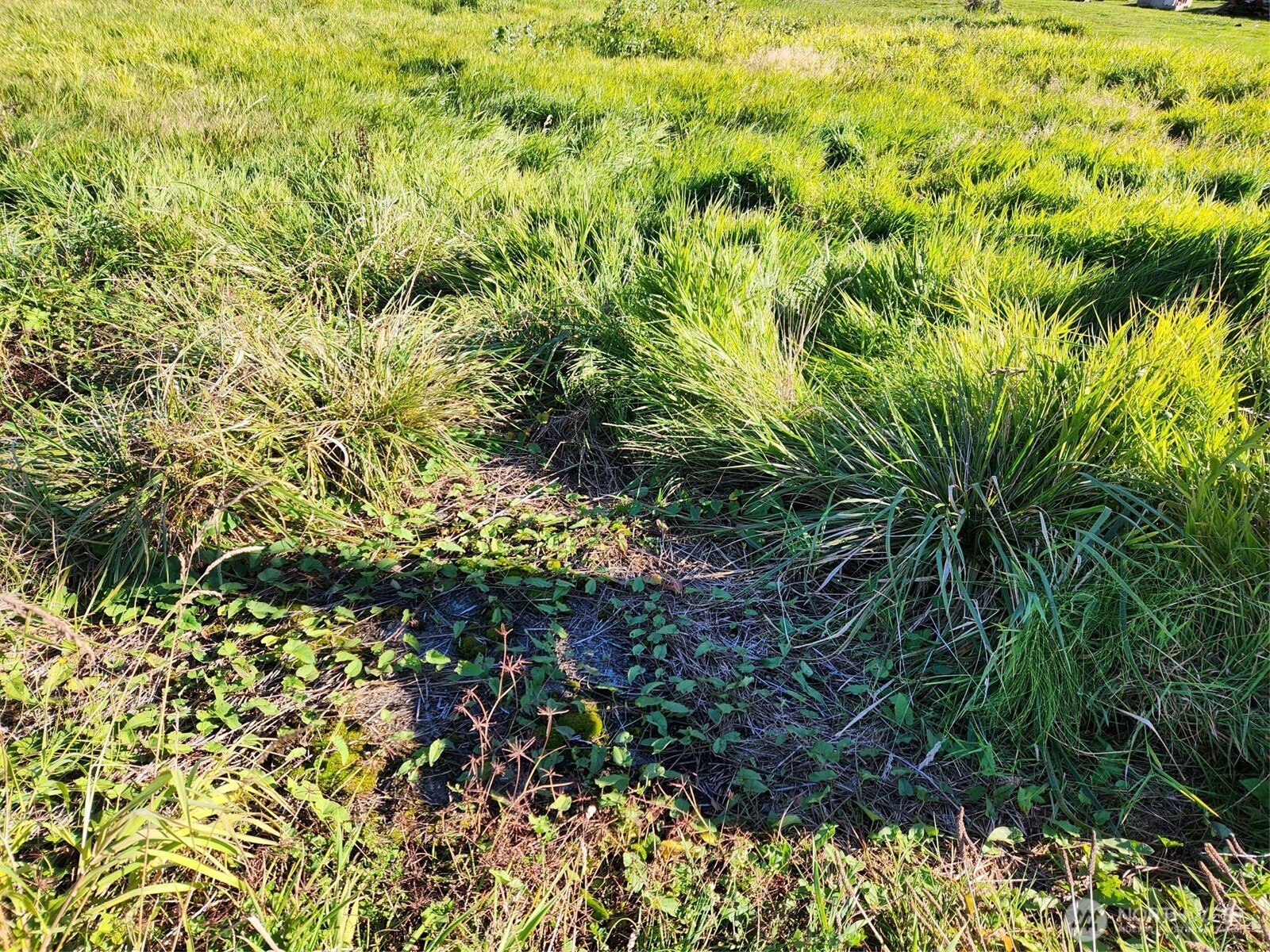 300 W Front , Aberdeen, WA 98520