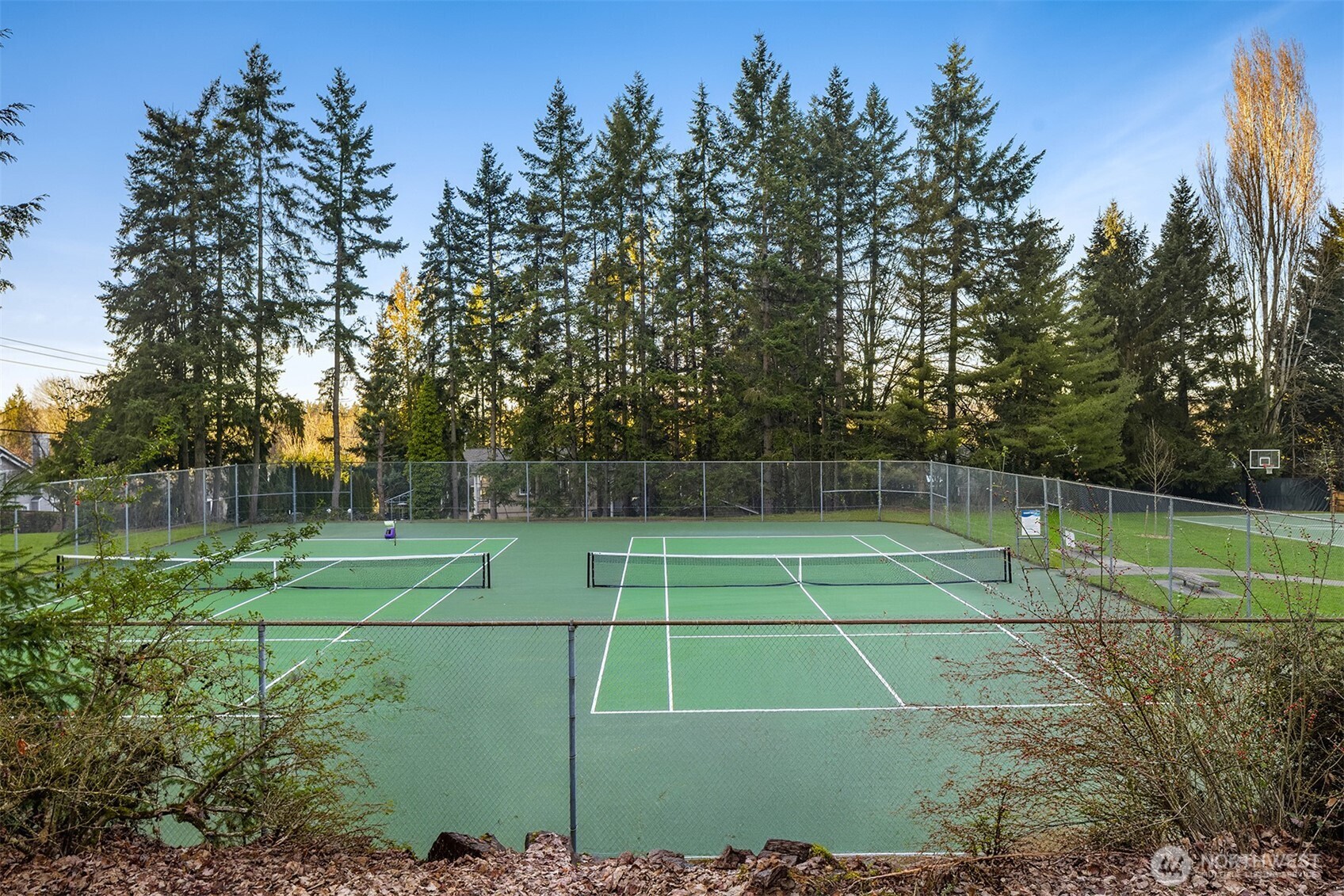 11715 NE 105th Lane , Kirkland, WA 98033-5039