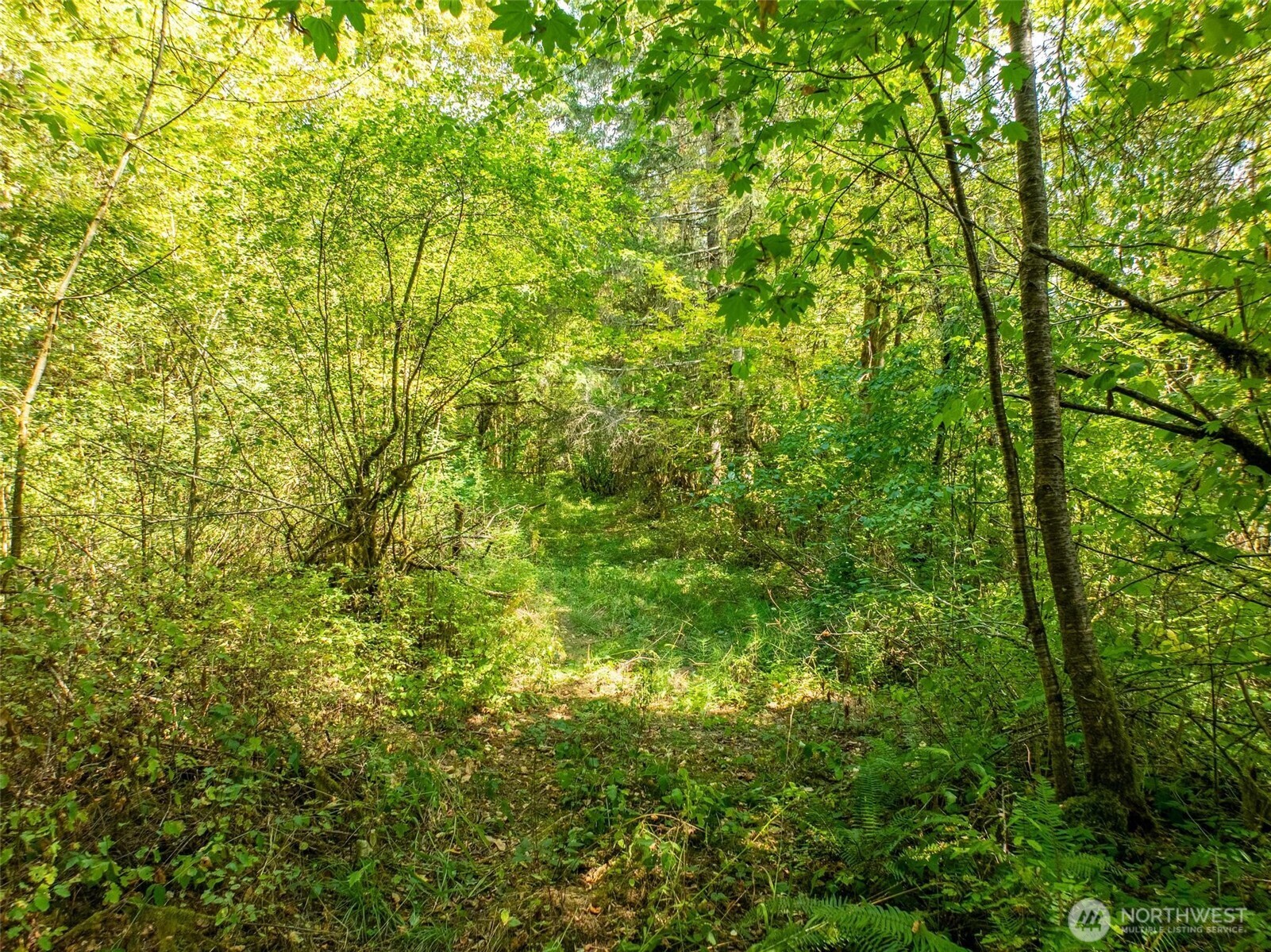 0 Lincoln Creek Road , Rochester, WA 98579