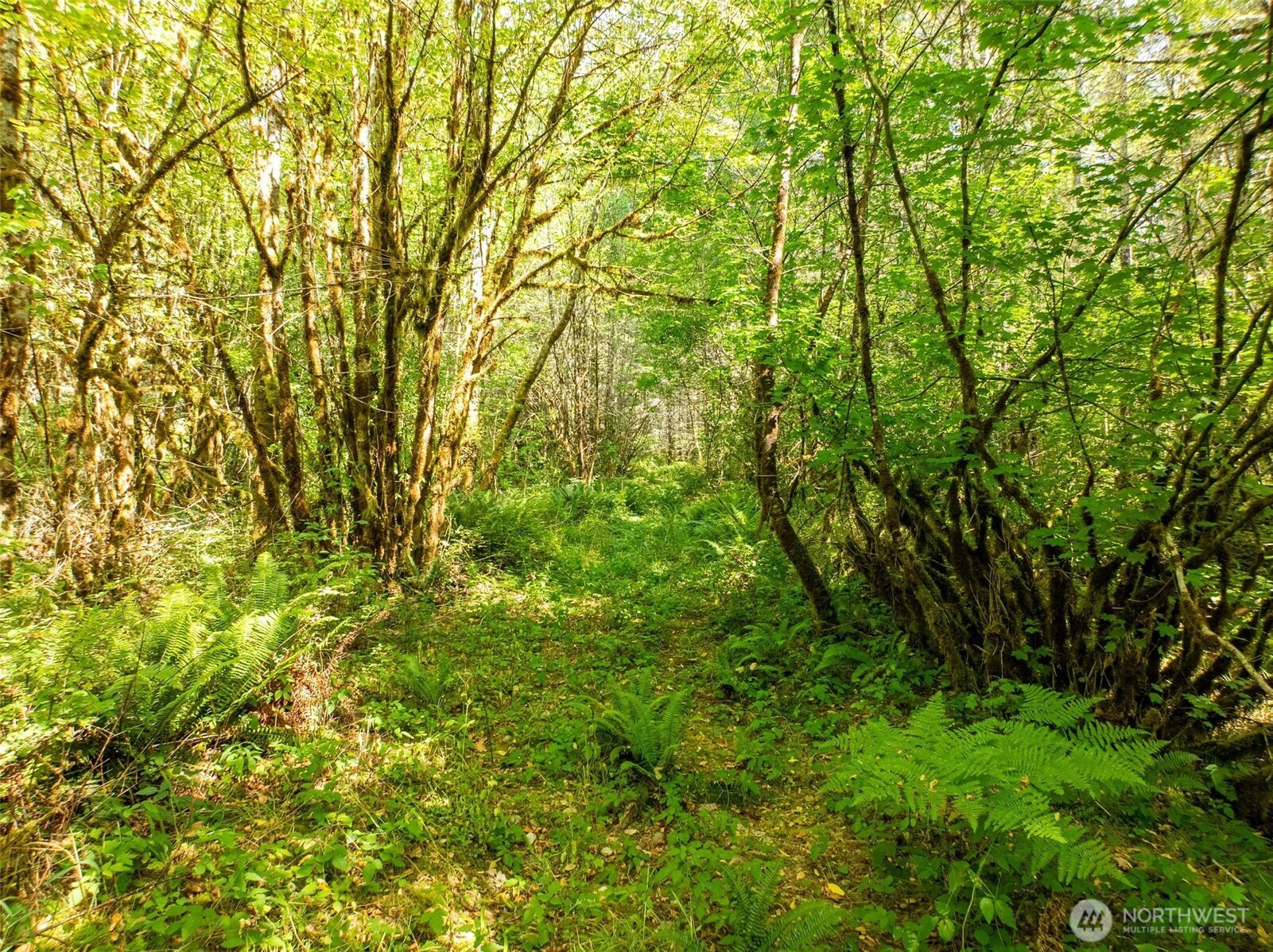 0 Lincoln Creek Road , Rochester, WA 98579