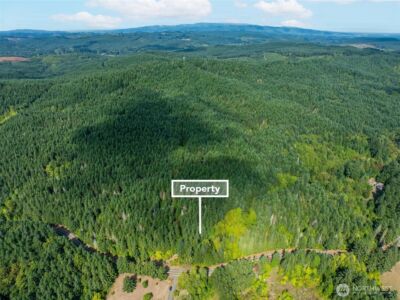 0 Lincoln Creek Road , Rochester, WA 98579 - Photo 3