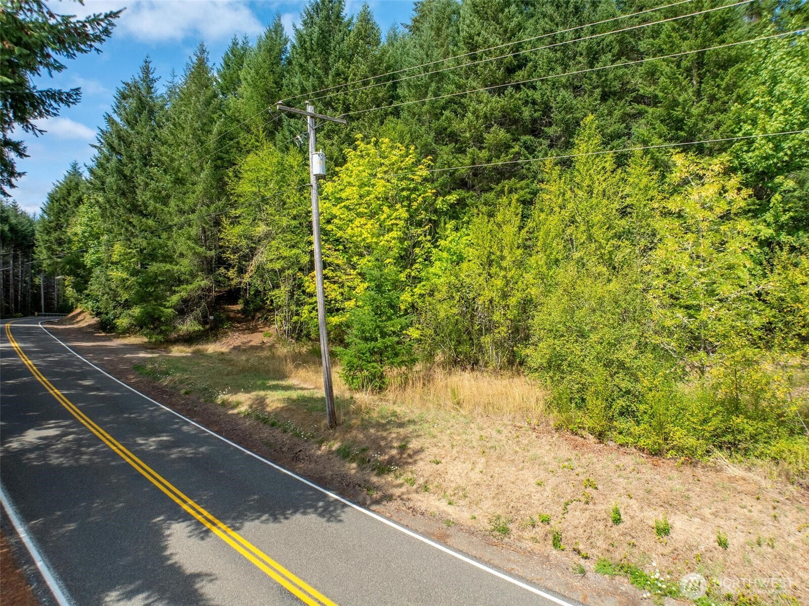 0 Lincoln Creek Road , Rochester, WA 98579