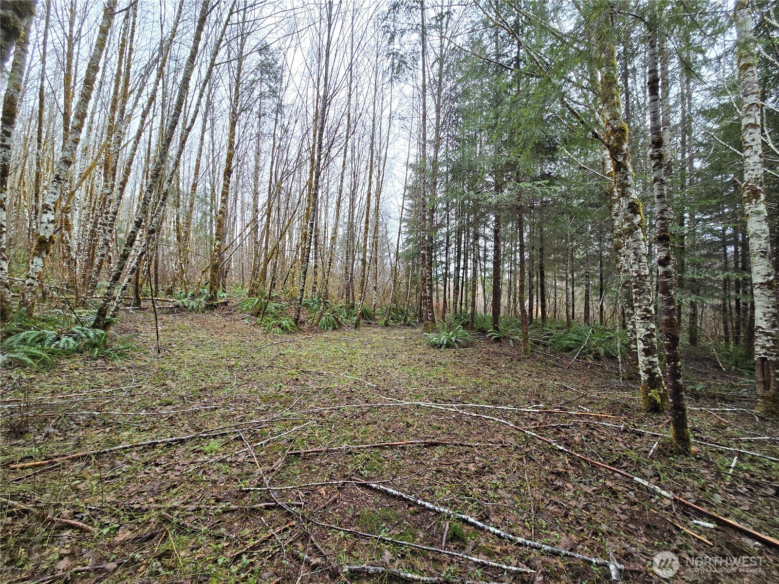 0 Lot 4 W Elk Hill Road , Elma, WA 98541