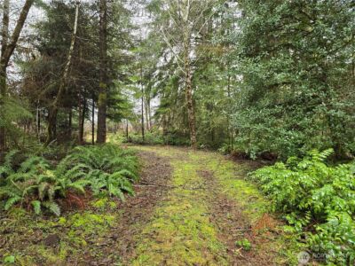 0 Lot 1&2 W Elk Hill Road , Elma, WA 98541