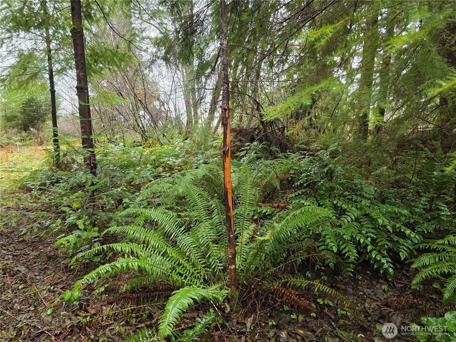 0 Lot 1&2 W Elk Hill Road , Elma, WA 98541