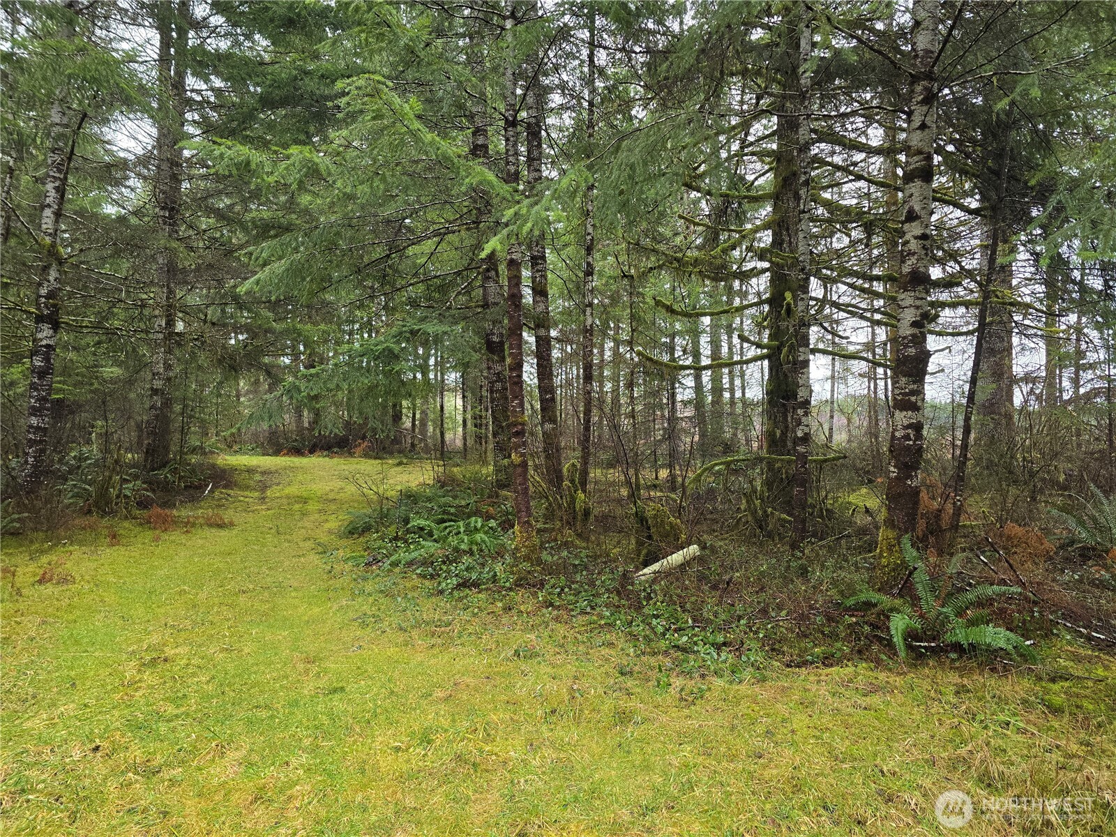 0 Lot 1&2 W Elk Hill Road , Elma, WA 98541