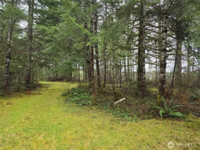 0 Lot 1&2 W Elk Hill Road , Elma, WA 98541 - Photo 3