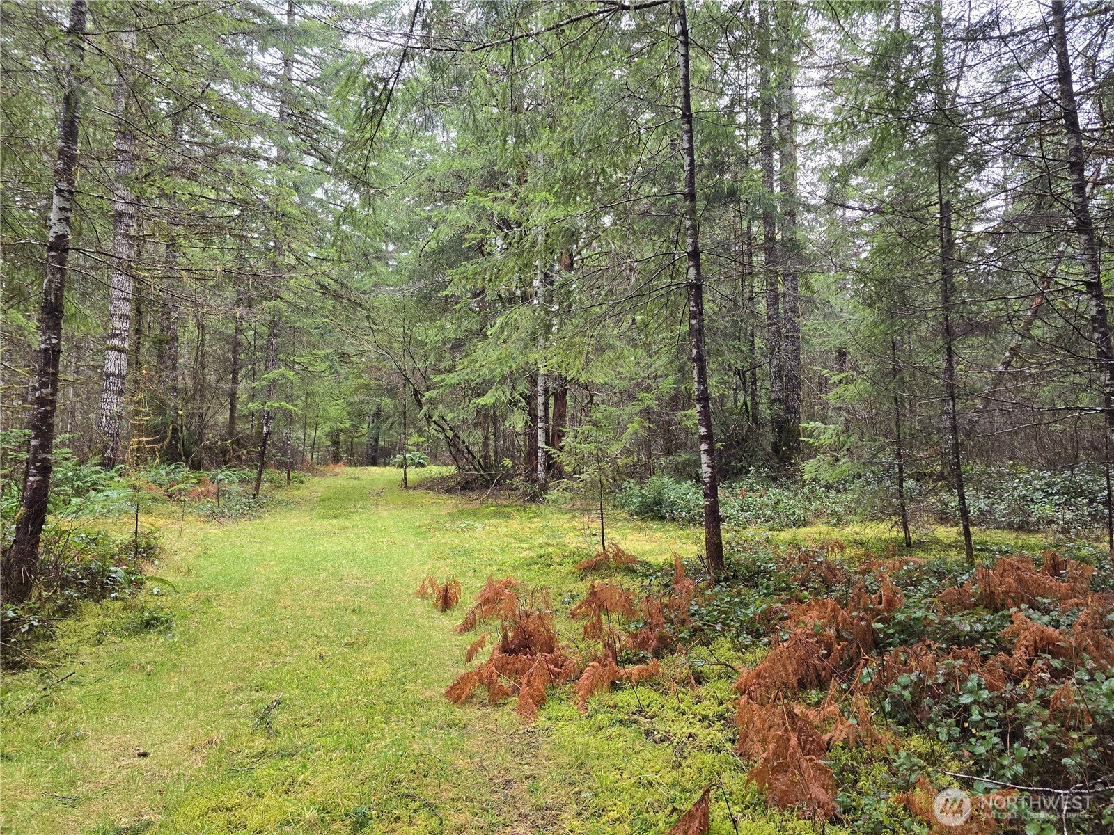 0 Lot 1&2 W Elk Hill Road , Elma, WA 98541