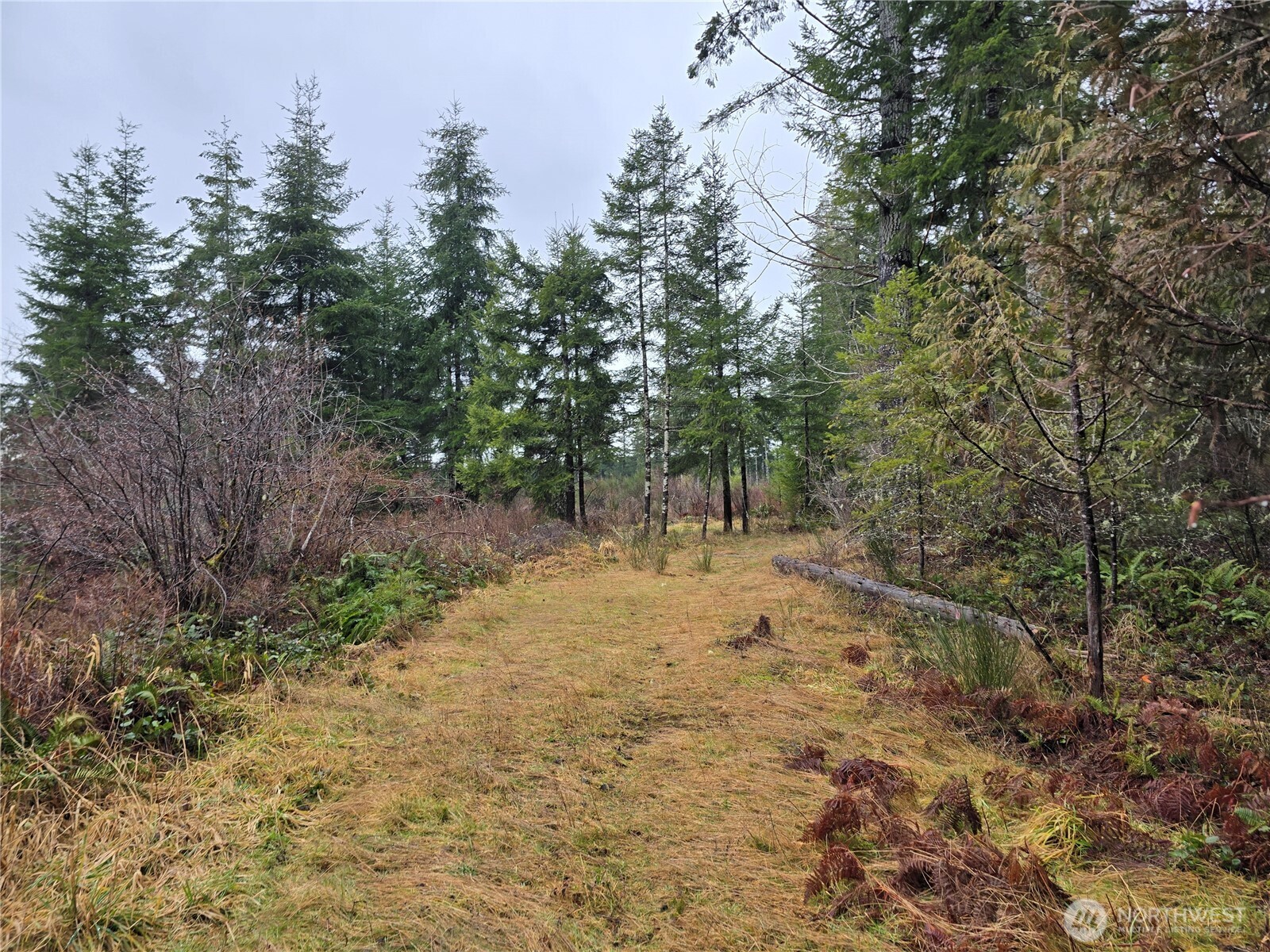 0 Lot 1&2 W Elk Hill Road , Elma, WA 98541