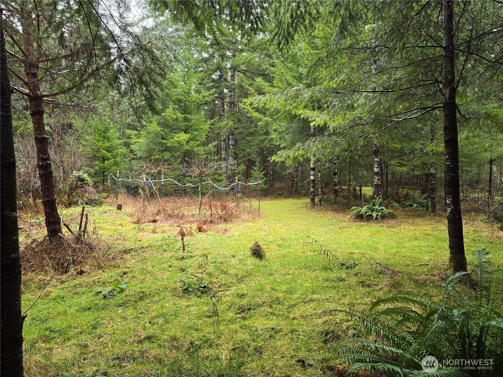 0 Lot 1&2 W Elk Hill Road , Elma, WA 98541