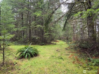 0 Lot 1&2 W Elk Hill Road , Elma, WA 98541 - Photo 8