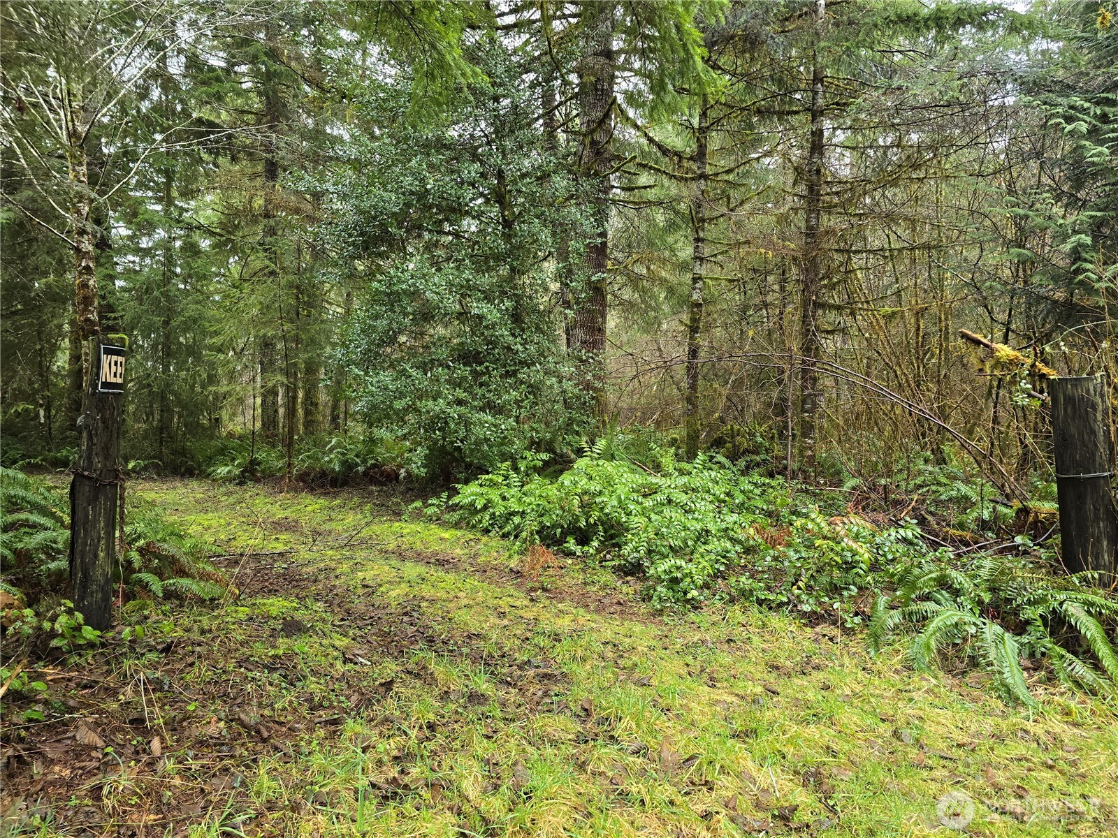 0 Lot 1&2 W Elk Hill Road , Elma, WA 98541