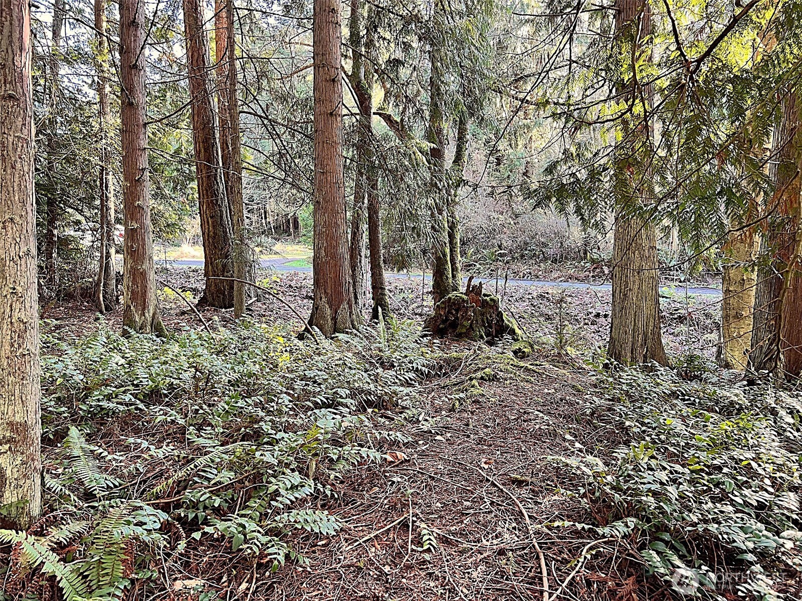 9999 S Sequim Ave Parcel B , Sequim, WA 98382