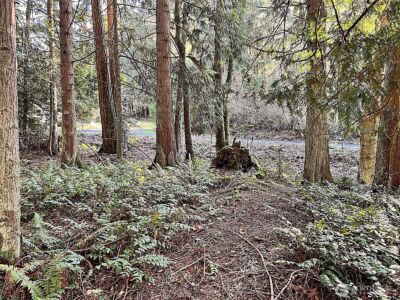 9999 S Sequim Ave Parcel B , Sequim, WA 98382 - Photo 12