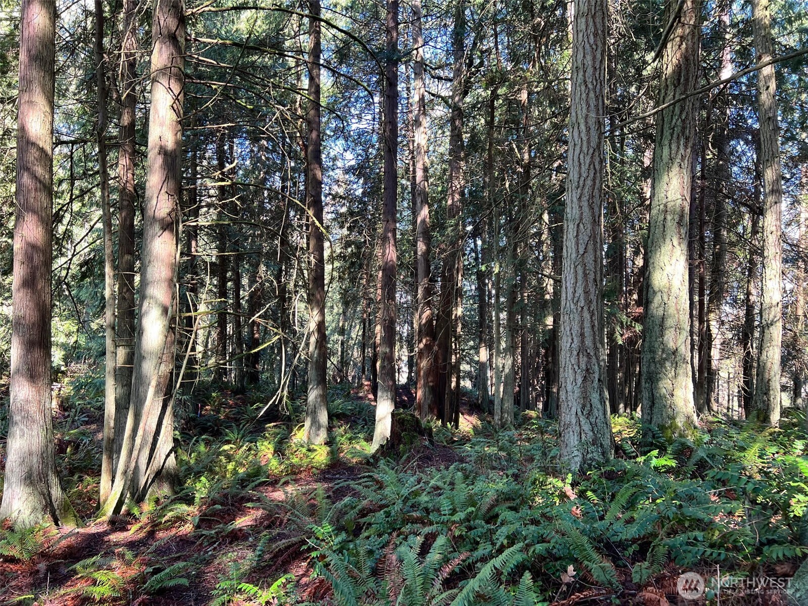 9999 S Sequim Ave Parcel B , Sequim, WA 98382