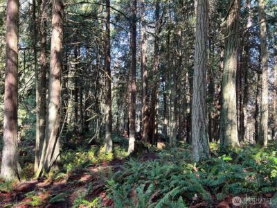 9999 S Sequim Ave Parcel B , Sequim, WA 98382 - Photo 15