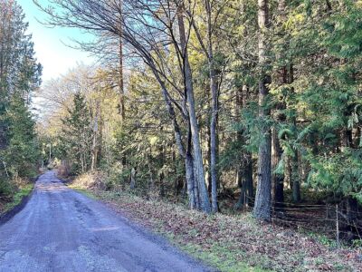 9999 S Sequim Ave Parcel B , Sequim, WA 98382 - Photo 6